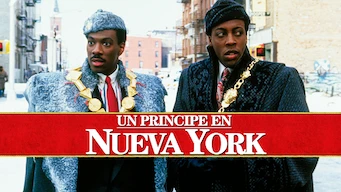 un principe en nueva york poster